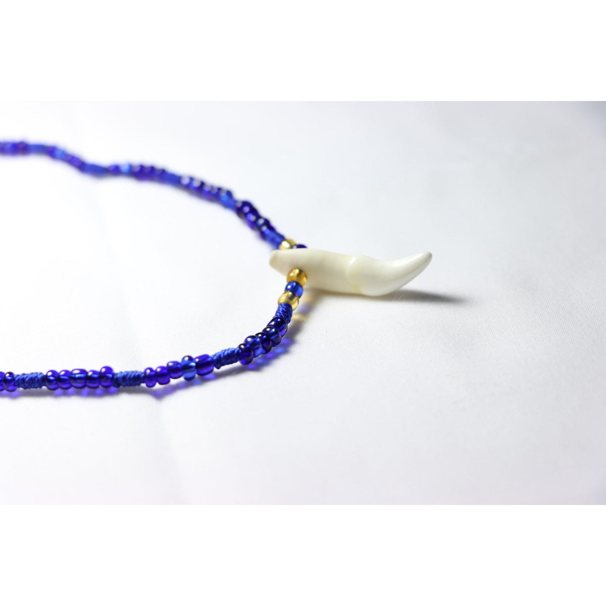 Royal Blue Coyote Tooth